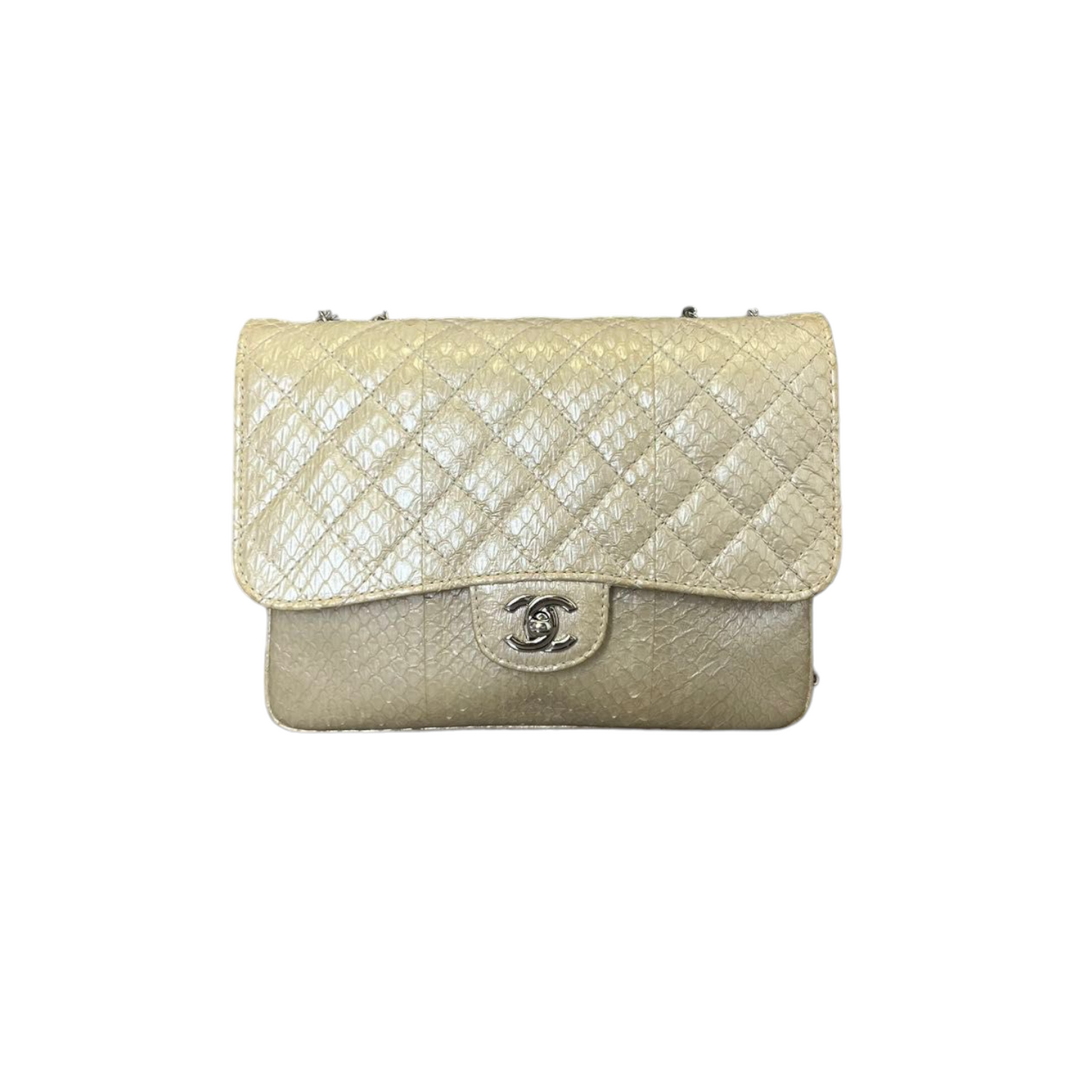 Chanel Python 3 Accordion Flap Bag SHW Leather Quilted Crossbody Bag