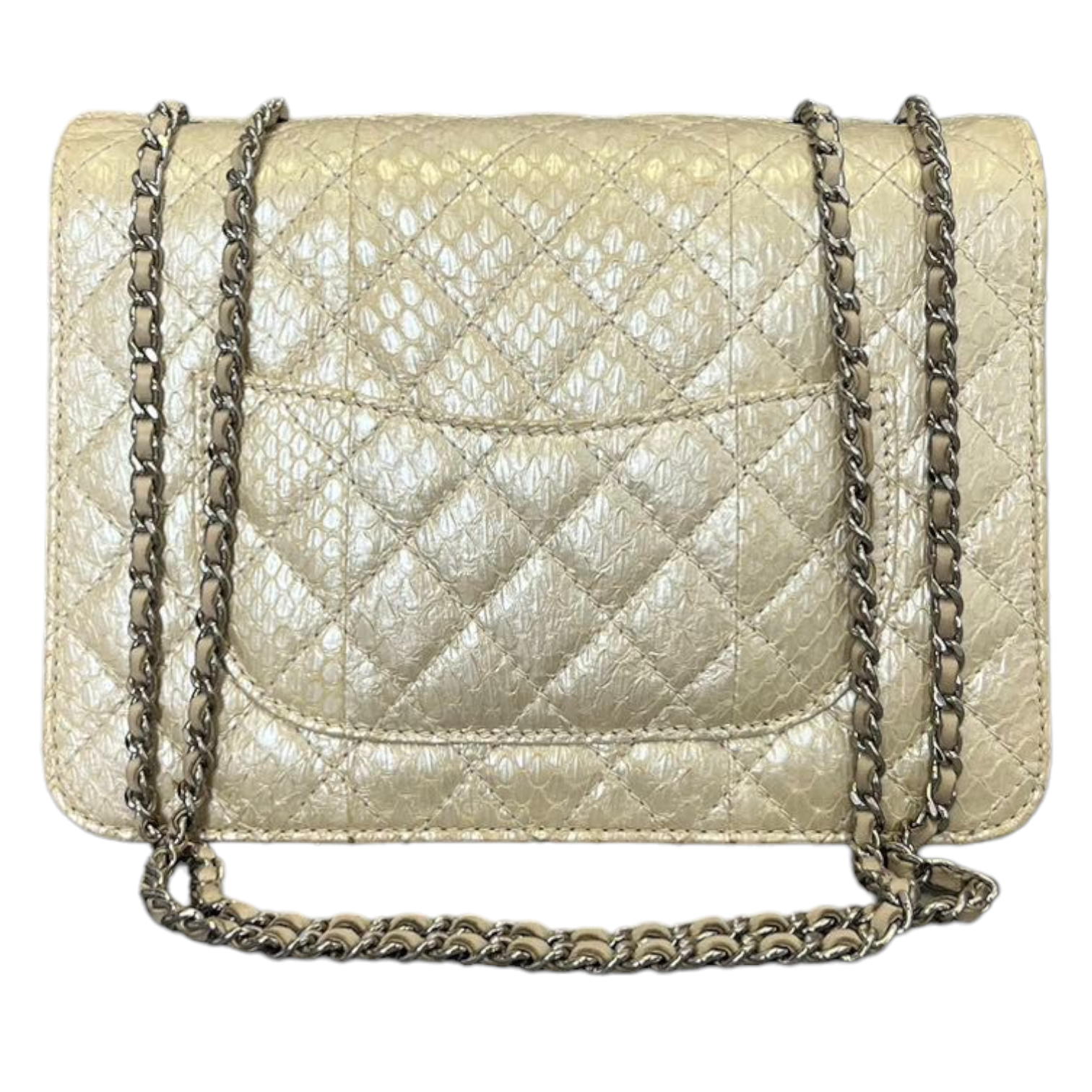 Chanel Python 3 Accordion Flap Bag SHW Leather Quilted Crossbody Bag