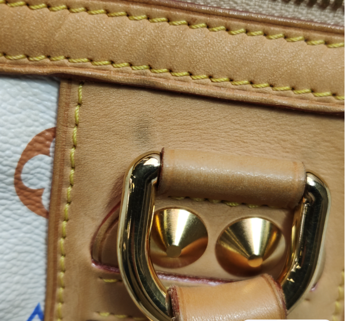 Louis Vuitton (LV) Courtney bag Multicolor 250221781073457