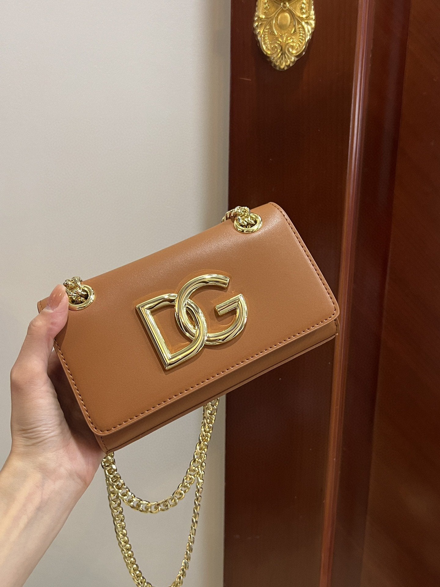 Polished Phone Brown Travel Bag