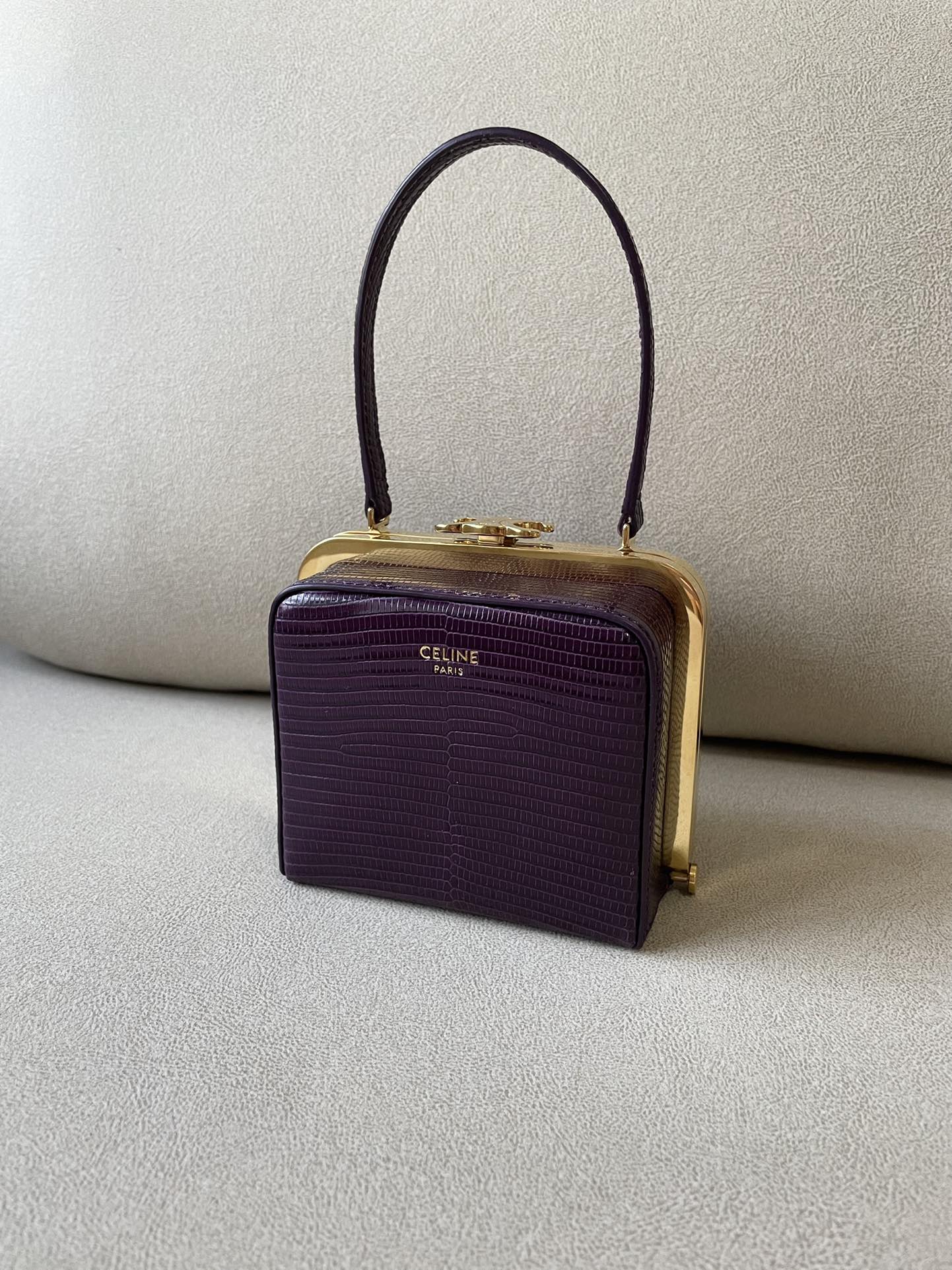 Top Quality Triomphe Minautop Qualityere In Lizard Travel Bag