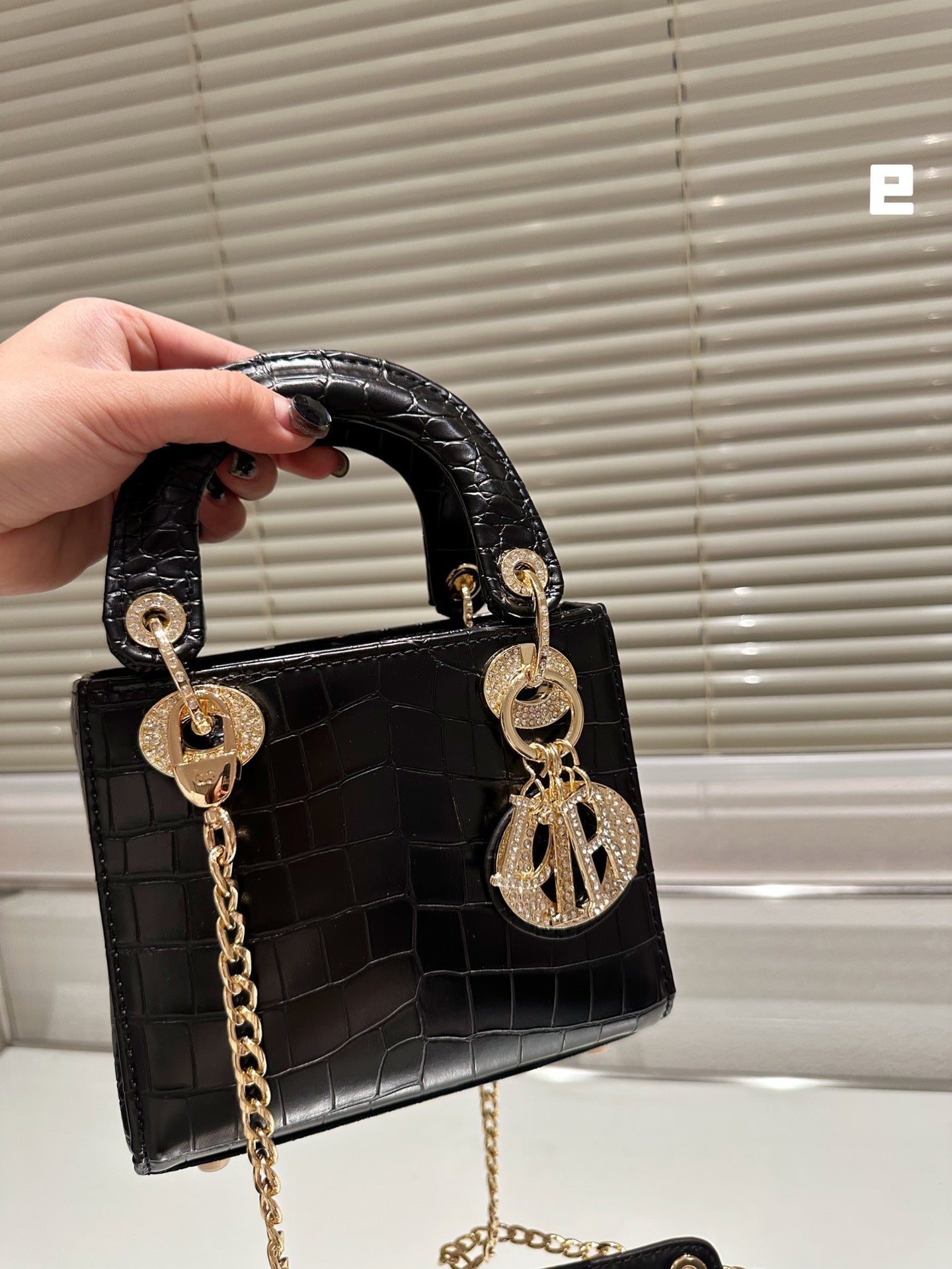 EN - Luxury DIR 369 Travel Bag