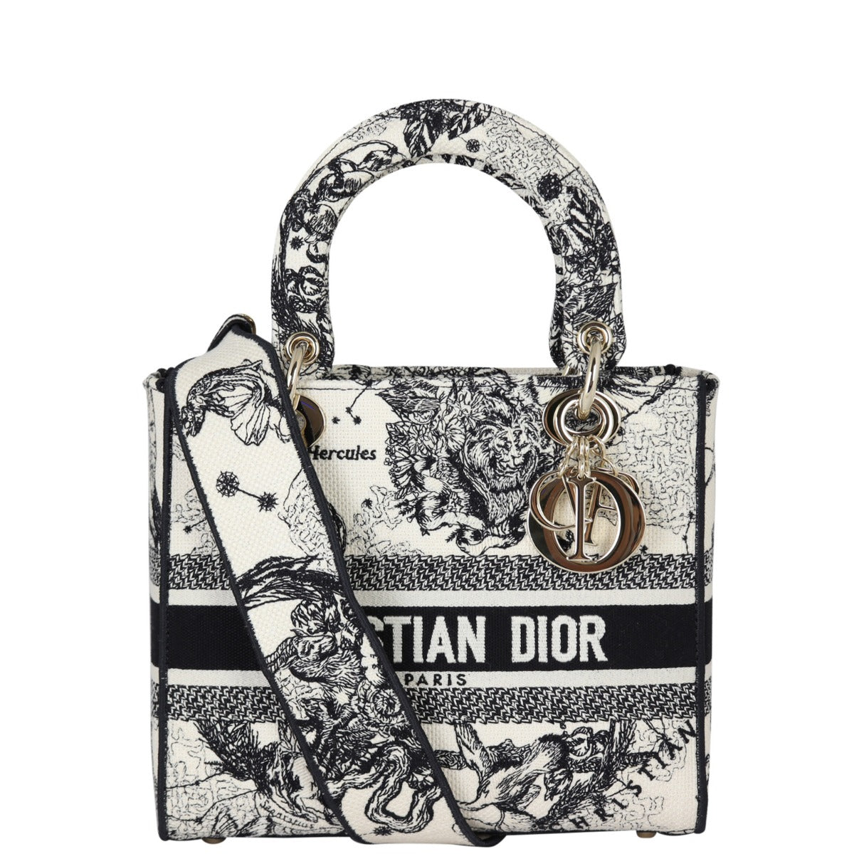 Dior Handbag Lady D-Lite Toile de Jouy Zodiac Canvas Medium