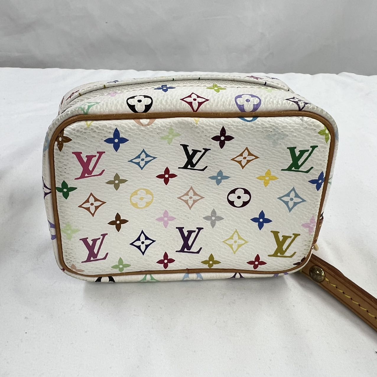 Louis Vuitton Truth Wapiti Multi Color Fashion Accessory