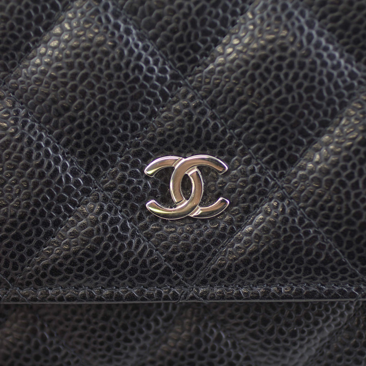 Chanel Classic Wallet on 19 Series Handbag Chain