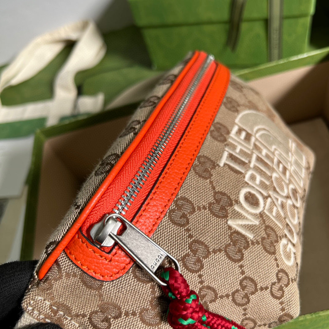 gg North Face x gg Canvas Beige Accessory