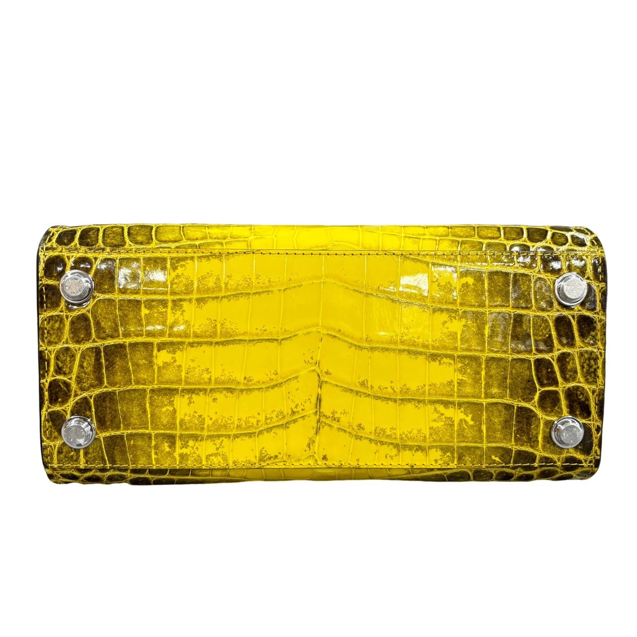 Louis Vuitton Crocodile City Steamer PM Fashion Accessory