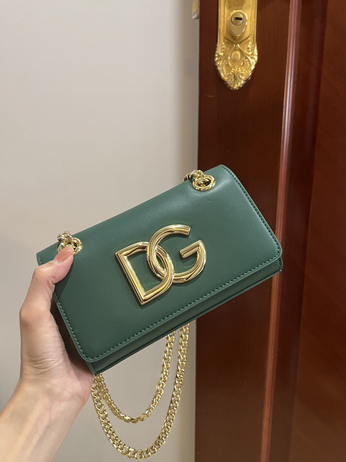 Polished Phone Green Travel Bag
