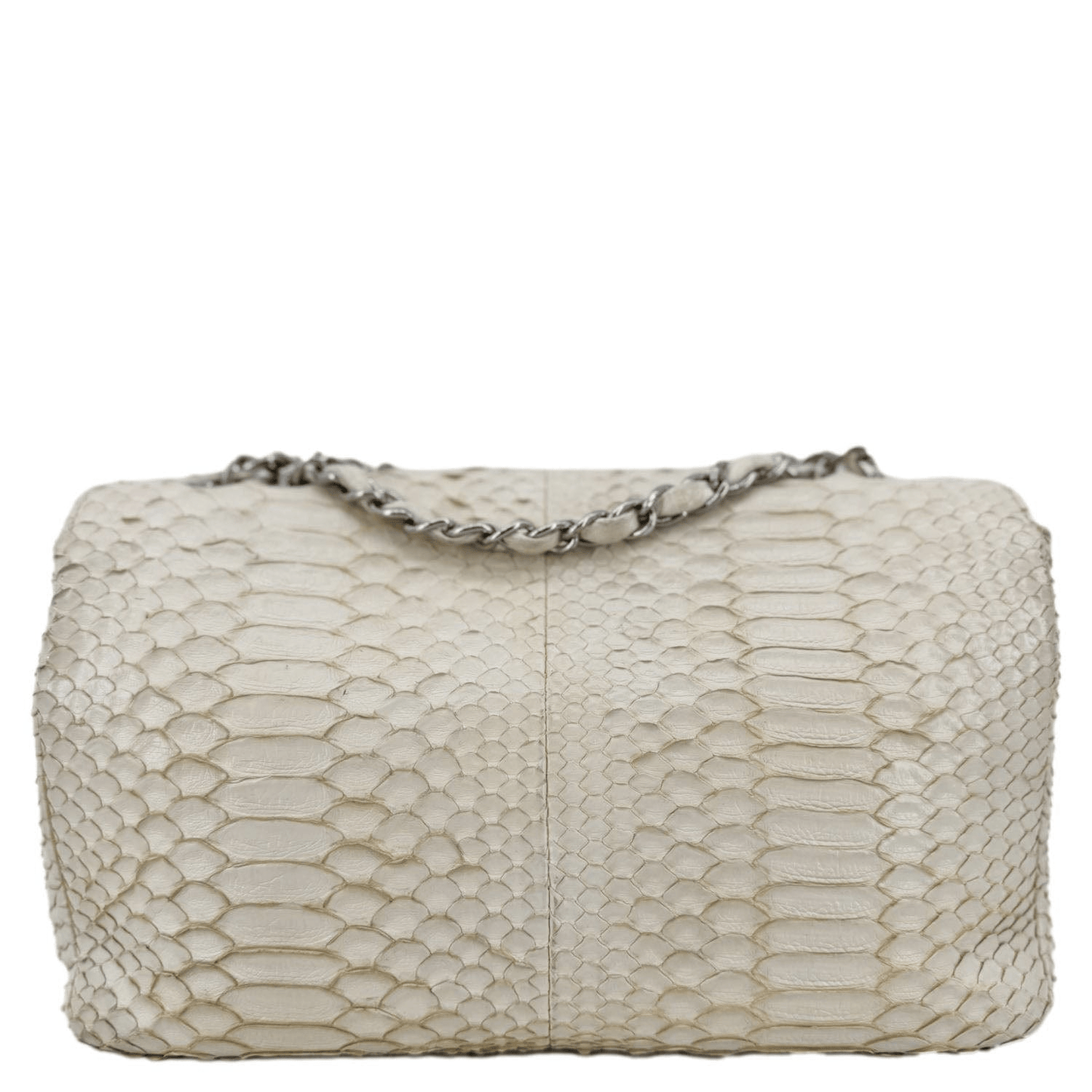 Chanel Flap Python Leather Ivory Travel Bag Bag Ivory
