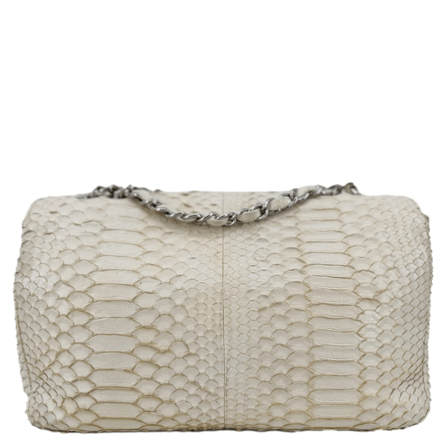 Chanel Flap Python Leather Ivory Travel Bag Bag Ivory