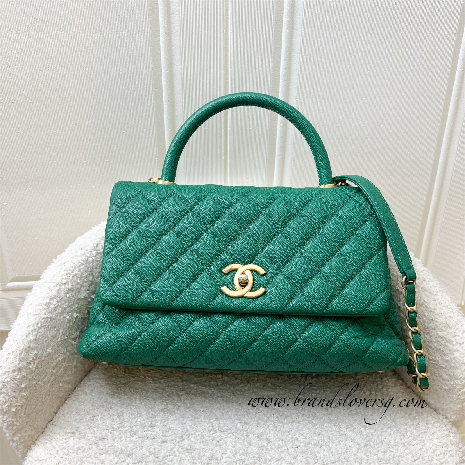 Chanel Medium 29CM Coco Handle Flap in Green Caviar and Aghw Handbag