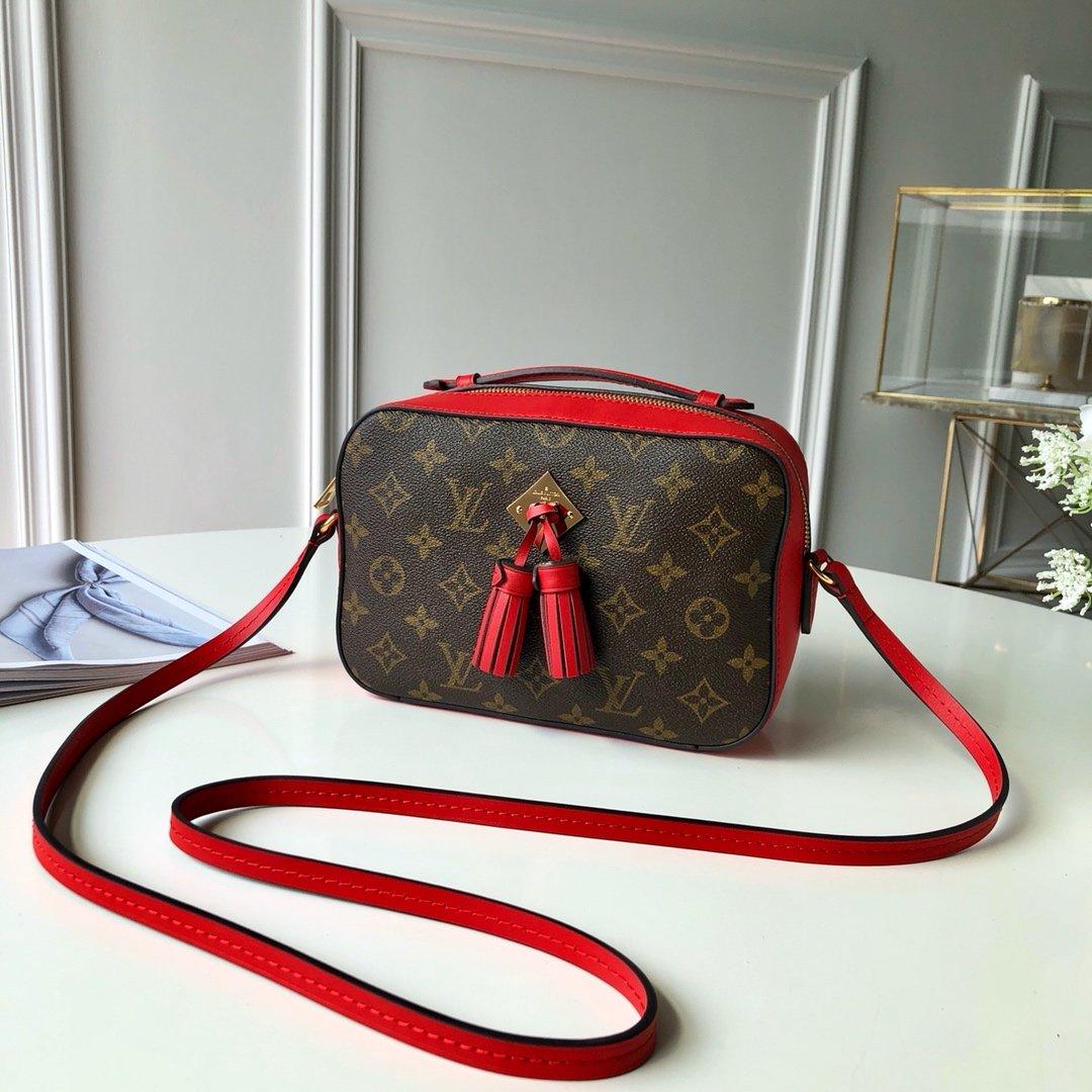 Louis Vuitton SAINTONGE Fashion Accessory Style 2