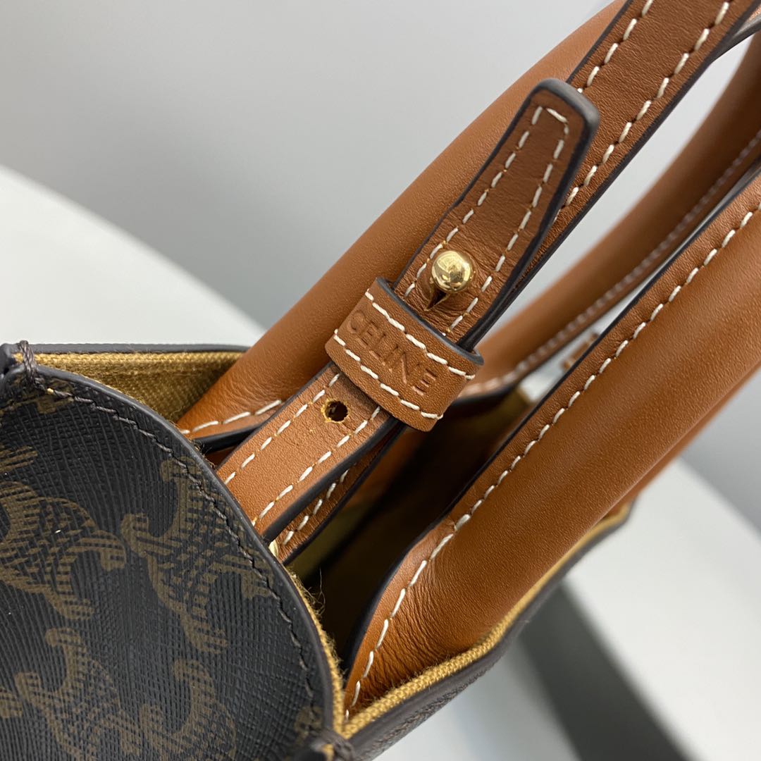 Top Quality Vertical Cabas In Triomphe For Canvas Brown Travel Bag