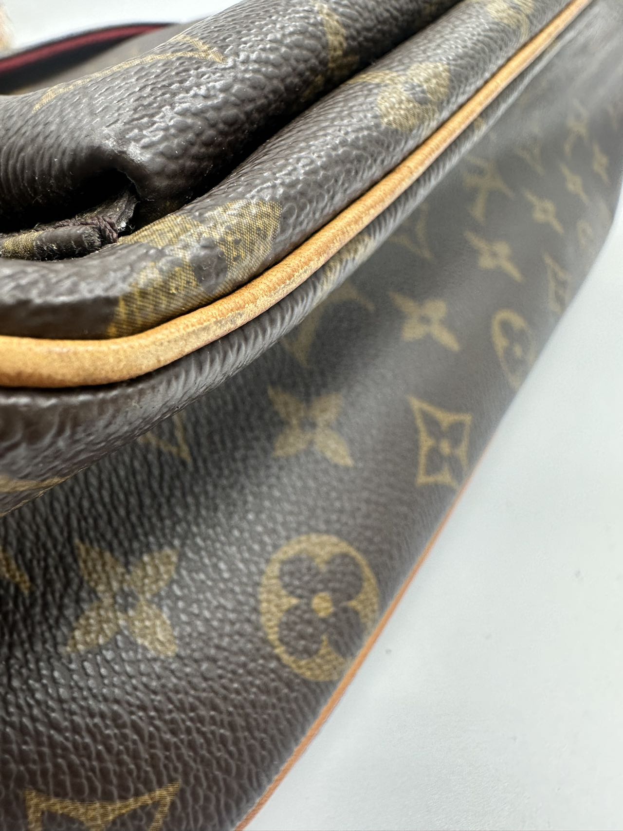 Louis Vuitton Monogram Viva Cite GM Fashion Accessory