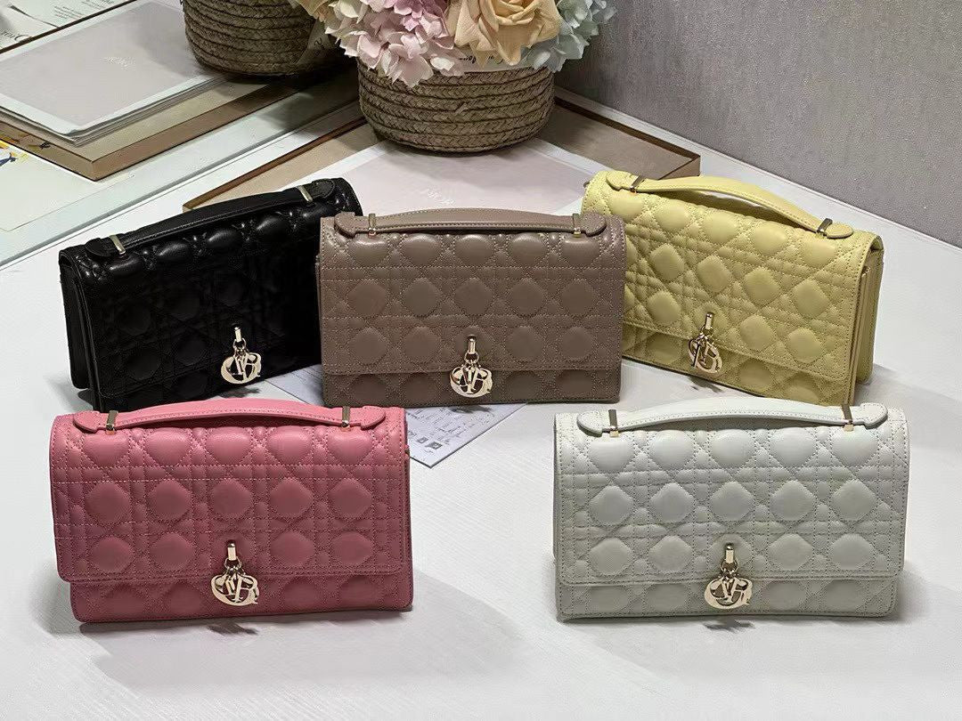 5 Color Handbag