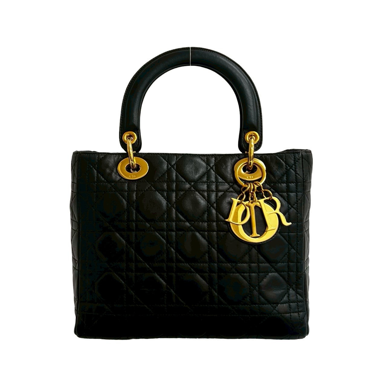 Dior Christian Lady Handbag Leather Travel Bag