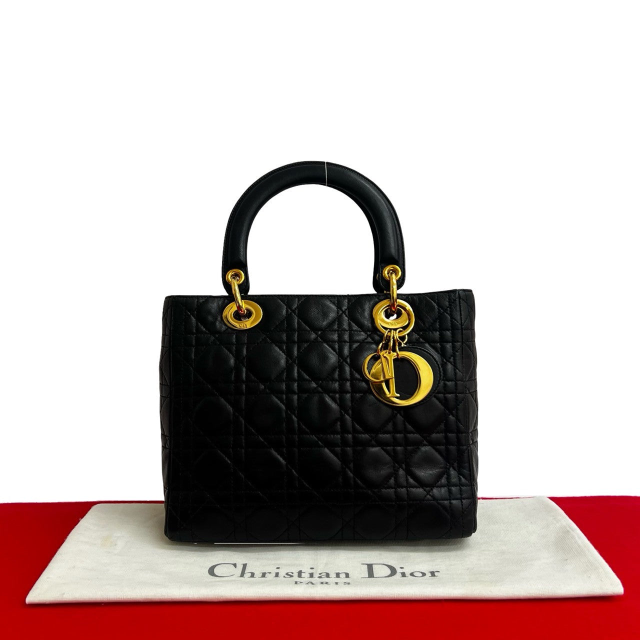 Dior Christian Lady Handbag Leather Travel Bag