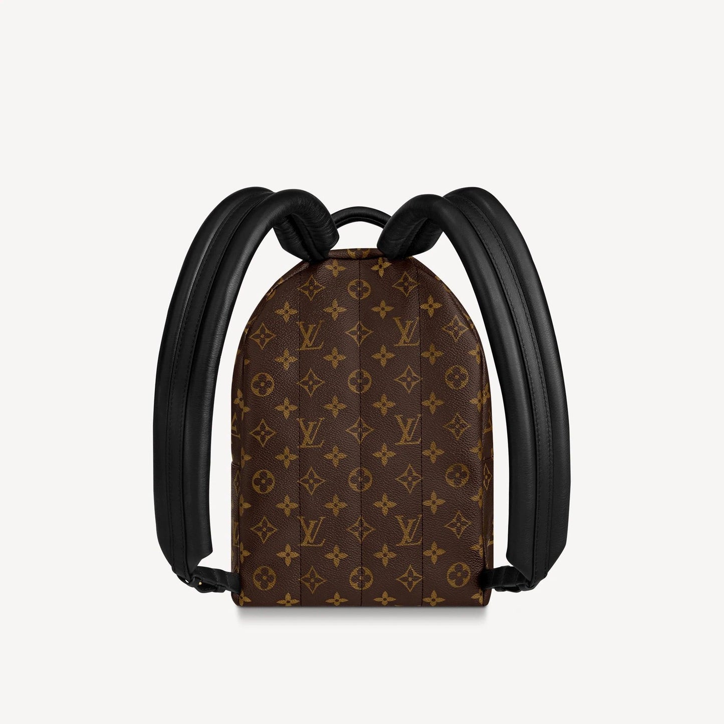 Louis Vuitton PALM SPRINGS PM Fashion Accessory