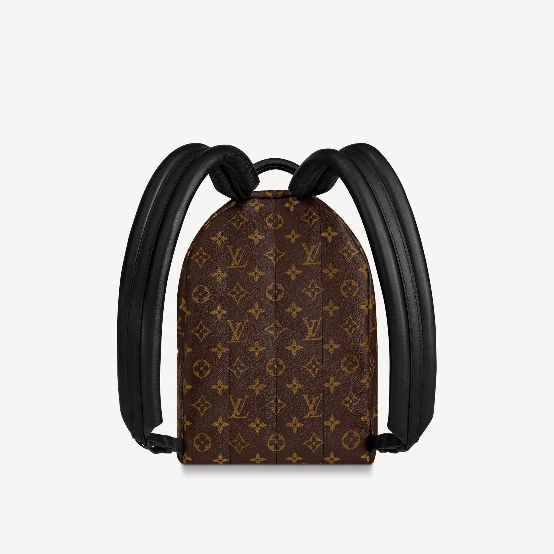 Louis Vuitton PALM SPRINGS PM Fashion Accessory