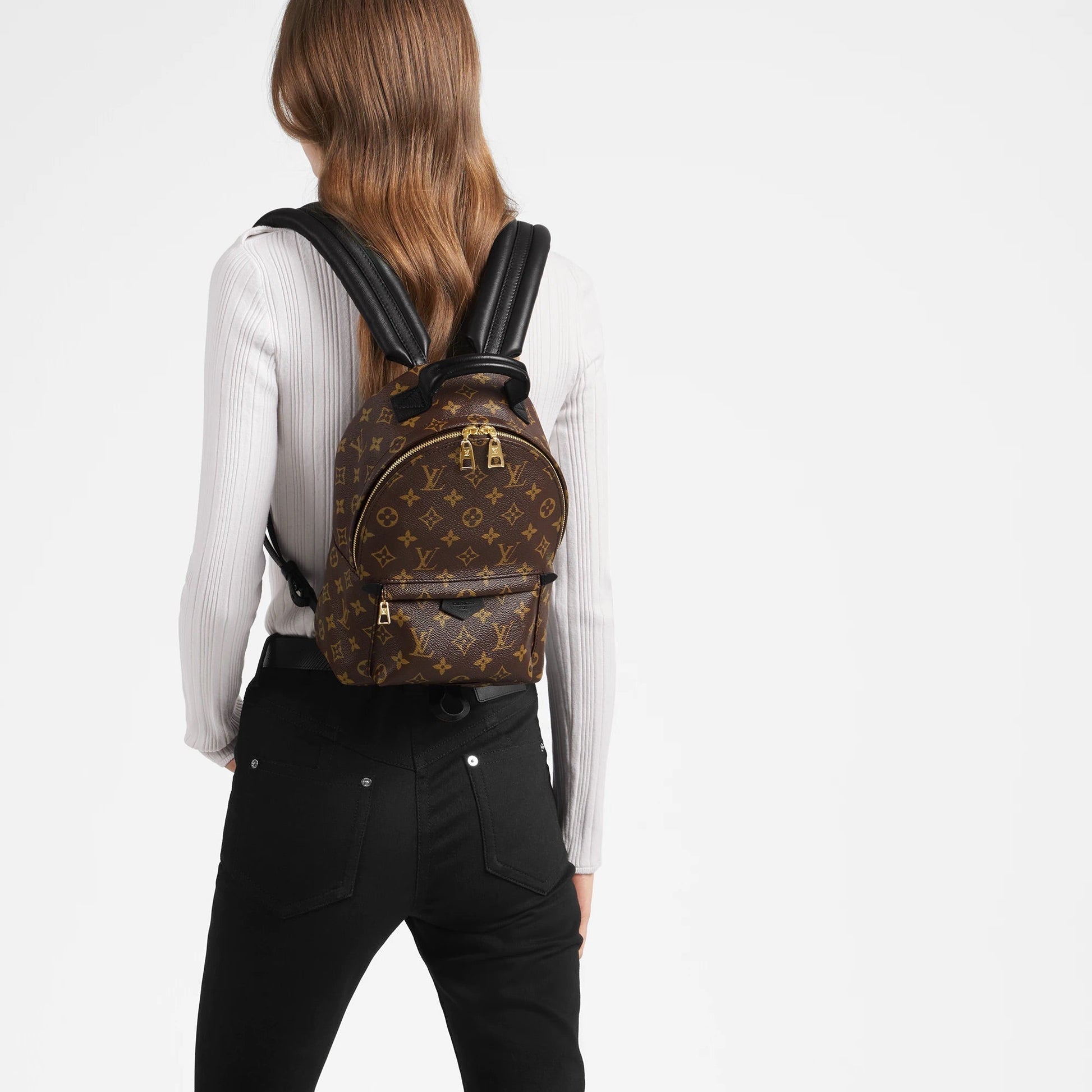Louis Vuitton PALM SPRINGS PM Fashion Accessory