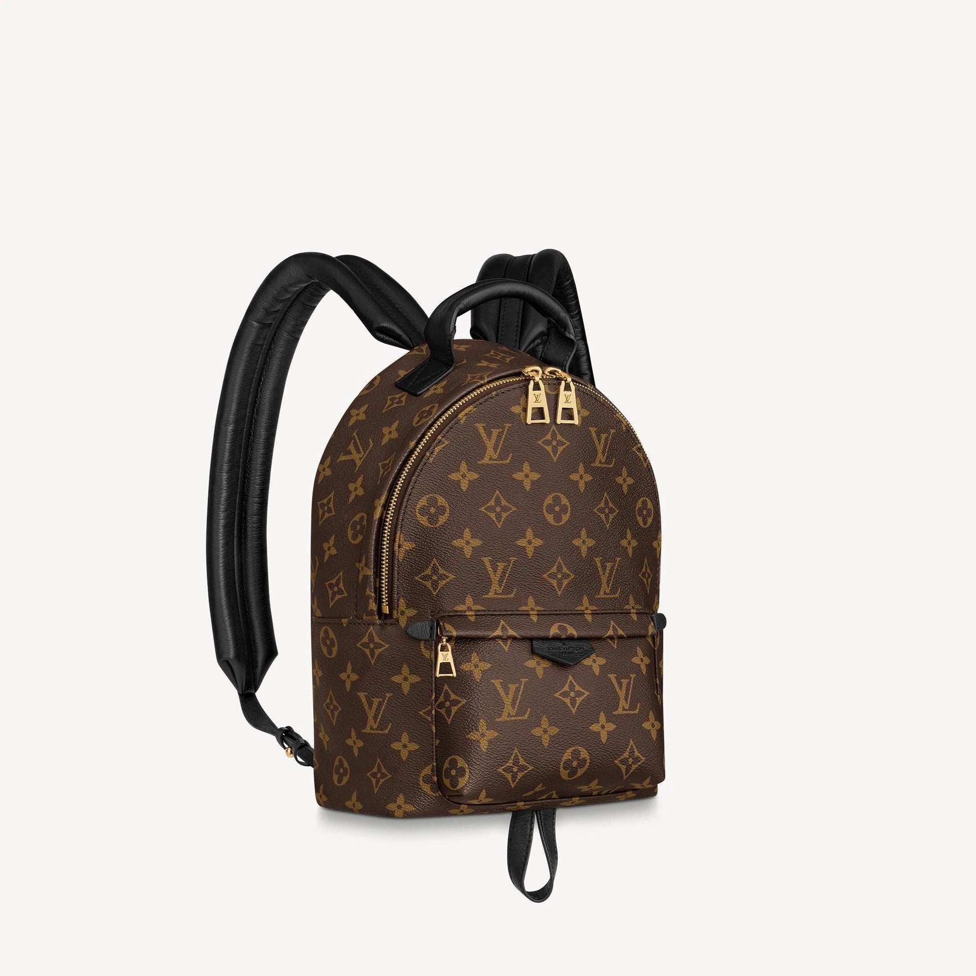 Louis Vuitton PALM SPRINGS PM Fashion Accessory