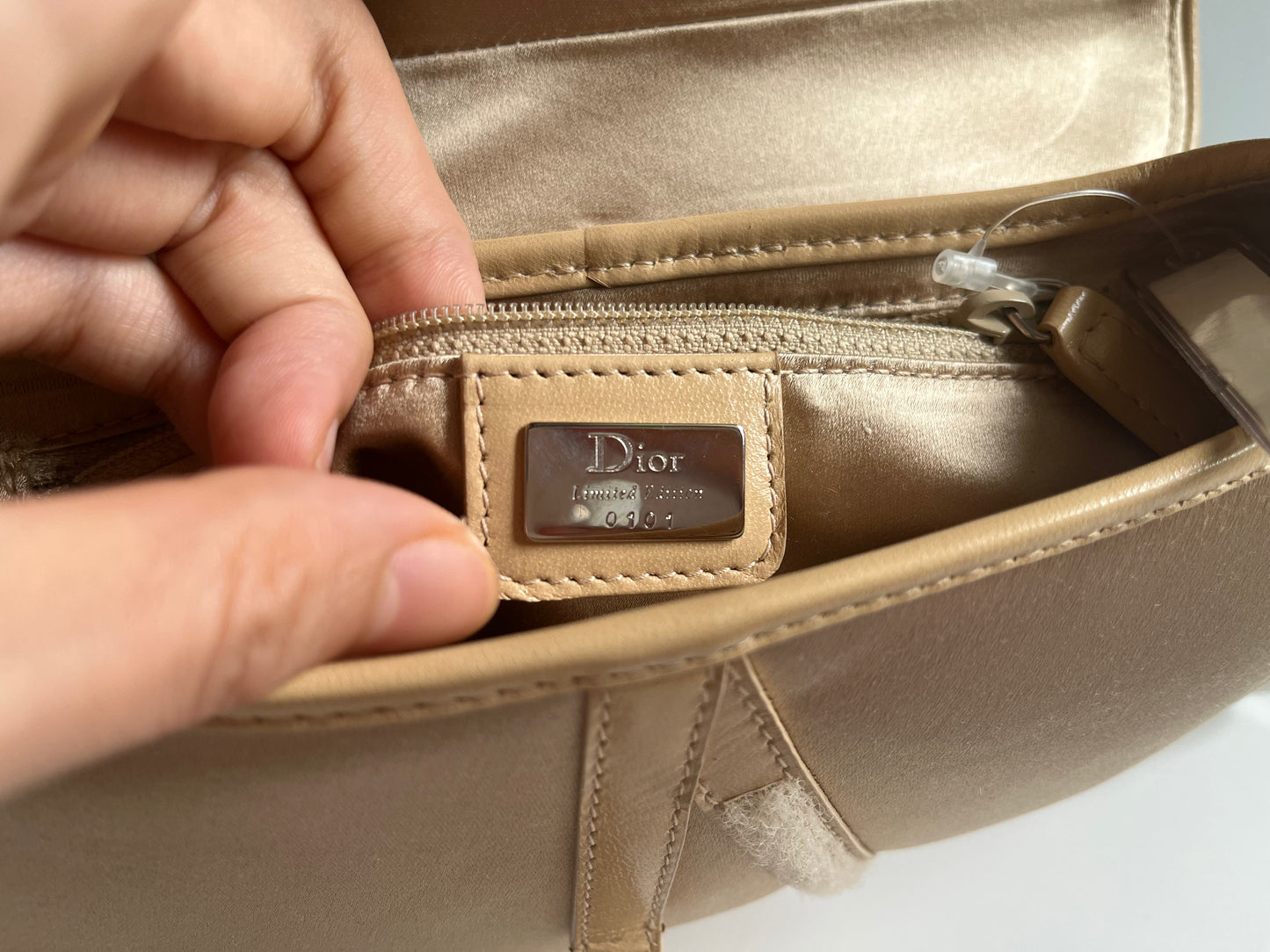 Dior Saddle Silk With Crystals Embellishment Handbag Beige Mini Travel Bag