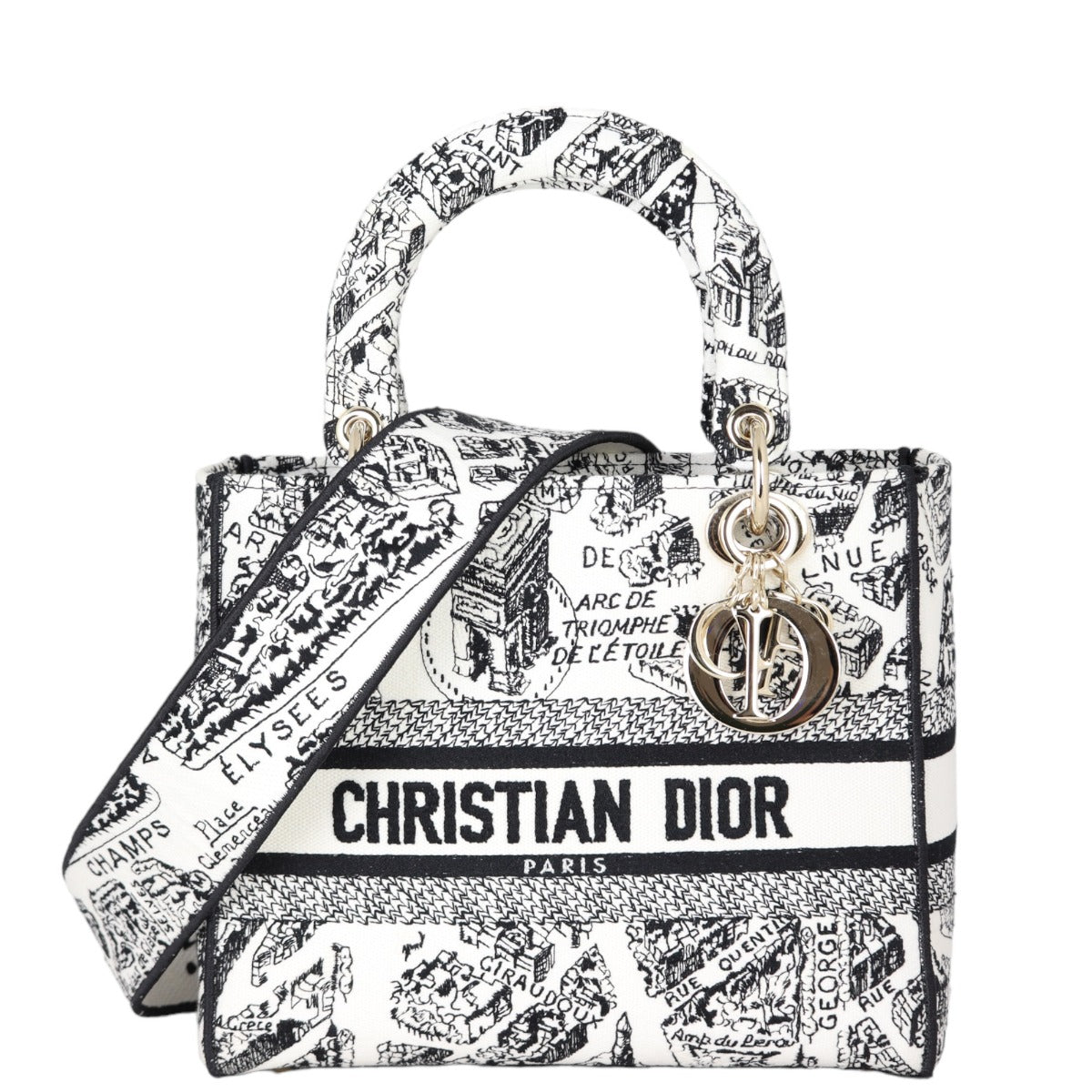 Dior Handbag Lady D-Lite 2 Canvas Medium