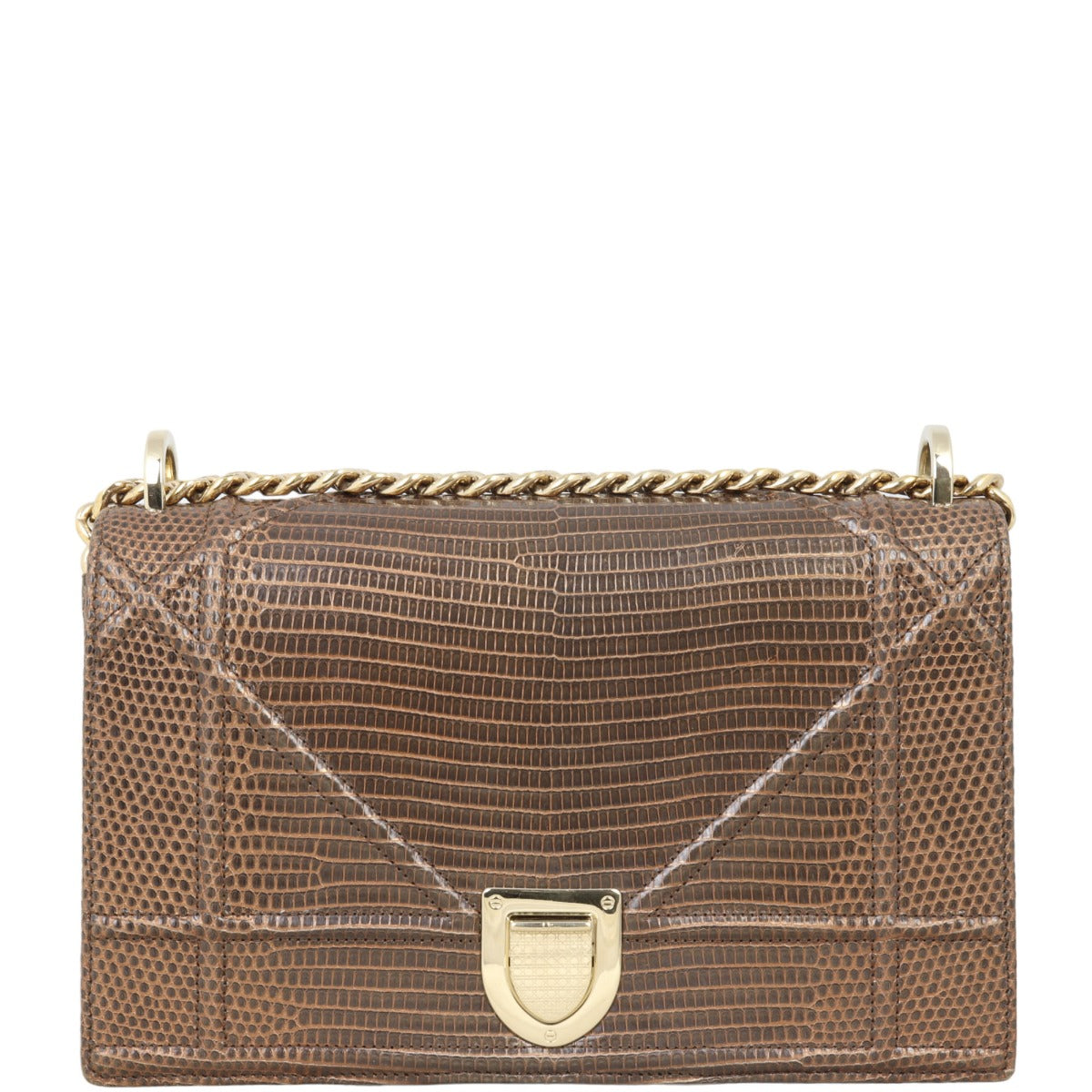 Dior ama Lizard Handbag Medium Travel Bag