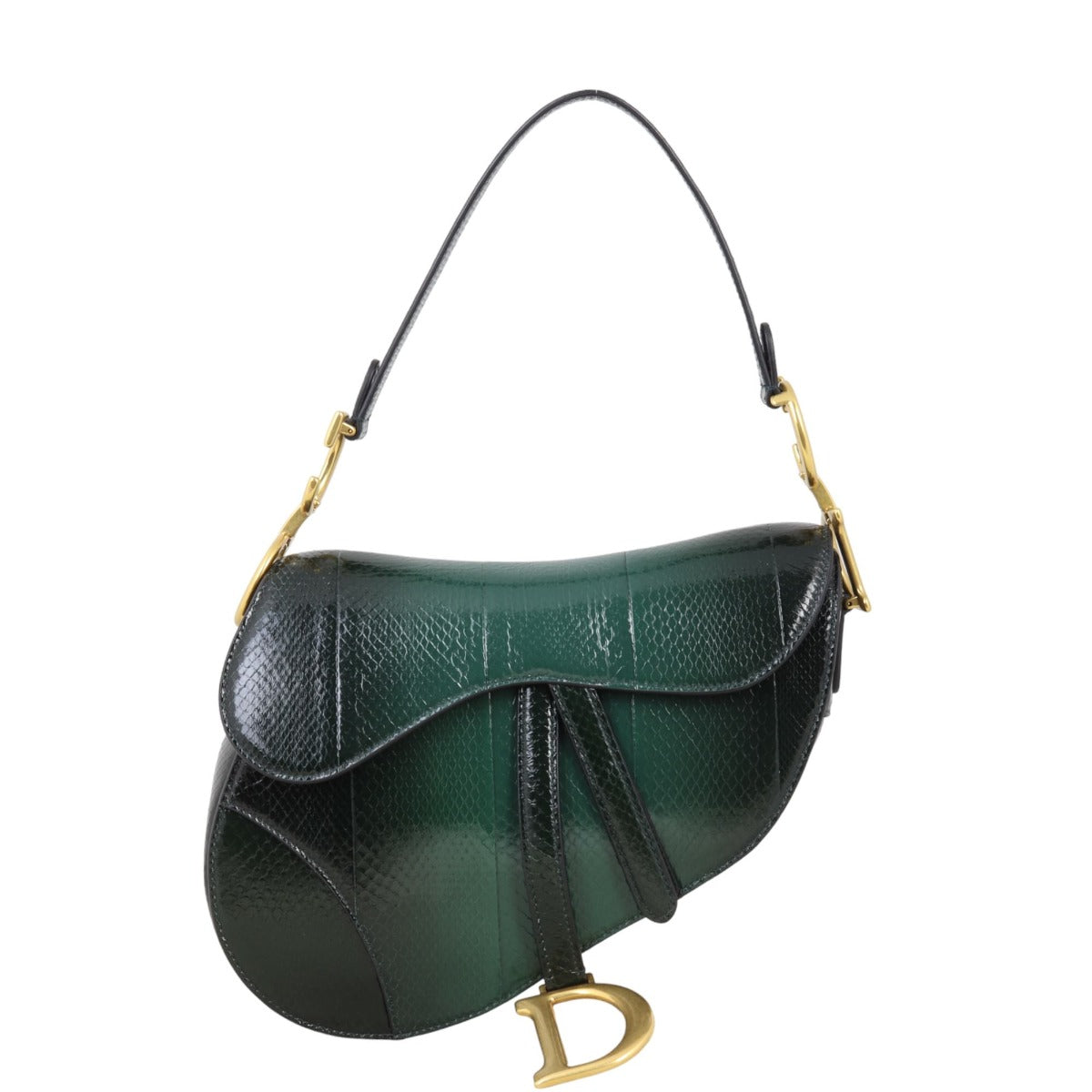Dior Saddle Bag Python Travel Bag