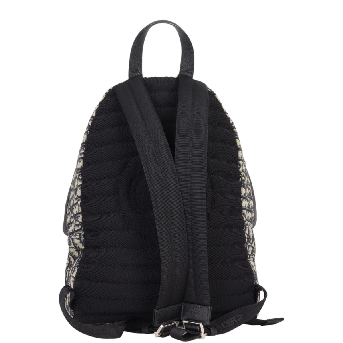 Dior Rider Backpack Oblique Handbag