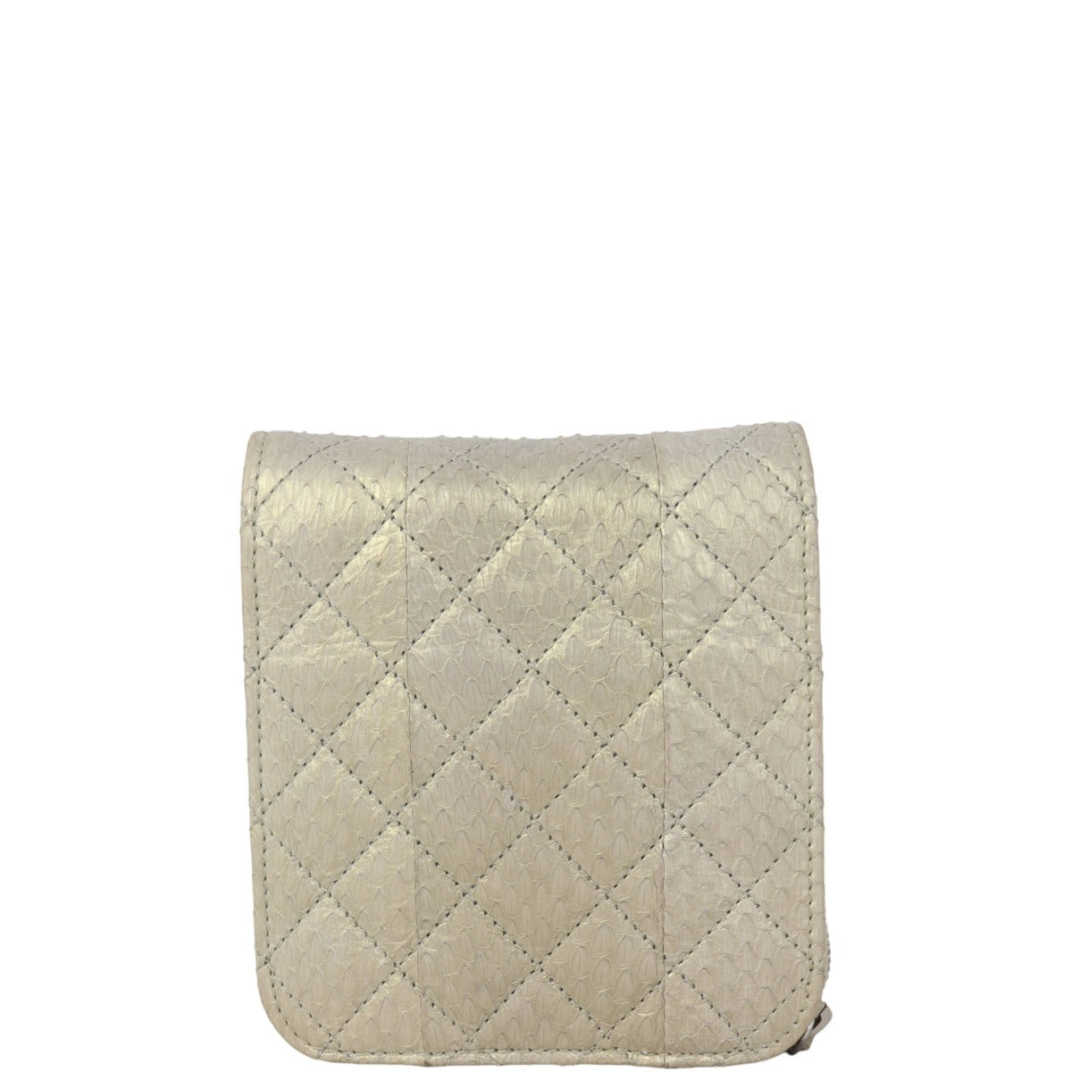 Chanel Python Bag Extra Diamond Gold Mini Mini Bag