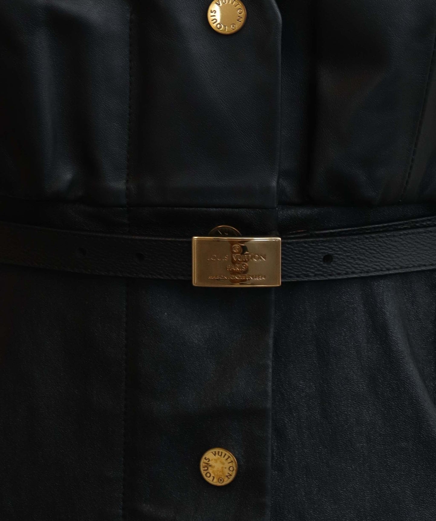 Louis Vuitton Leather Dress 36