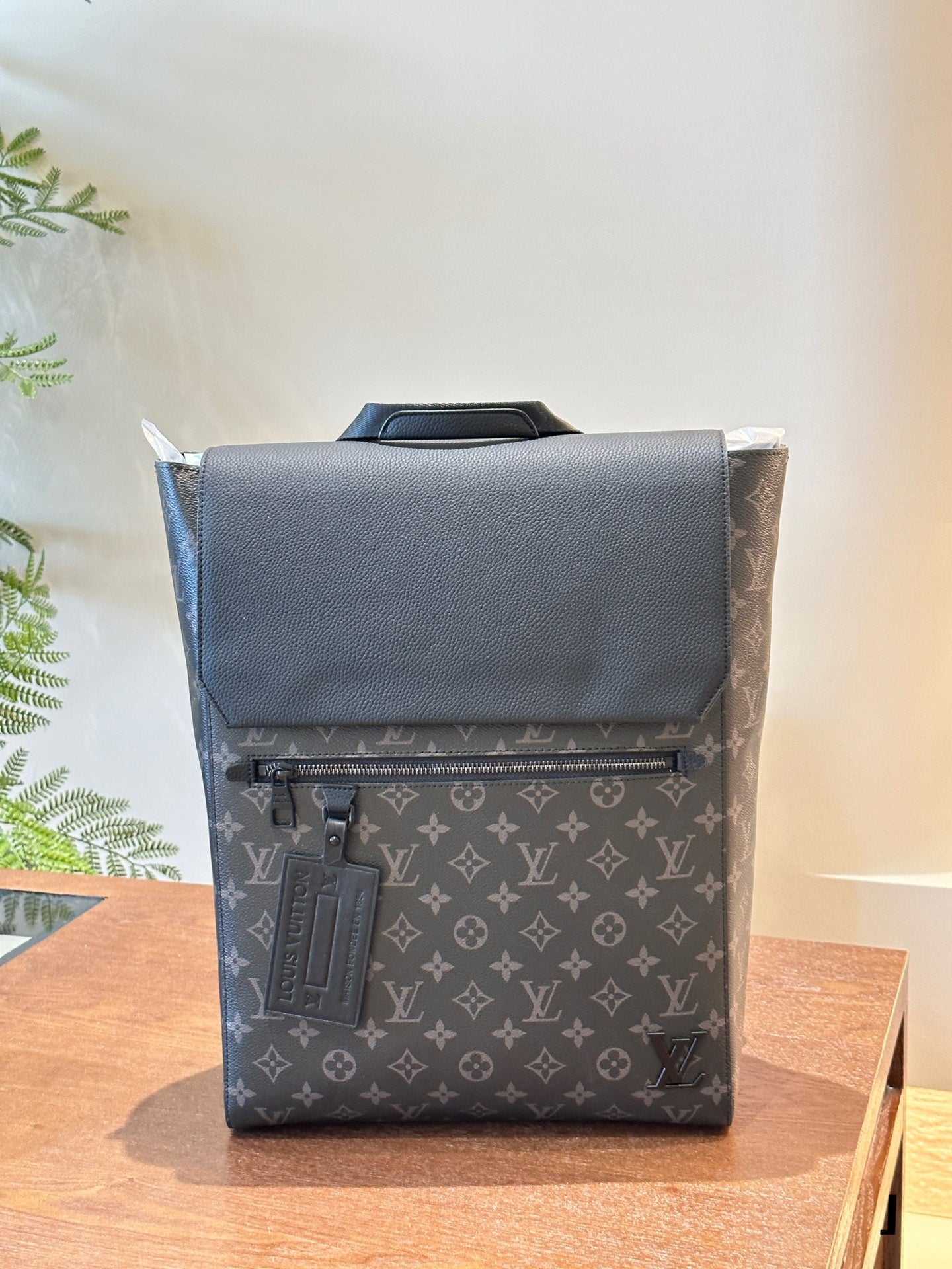 Louis vuitton handbags Backpack