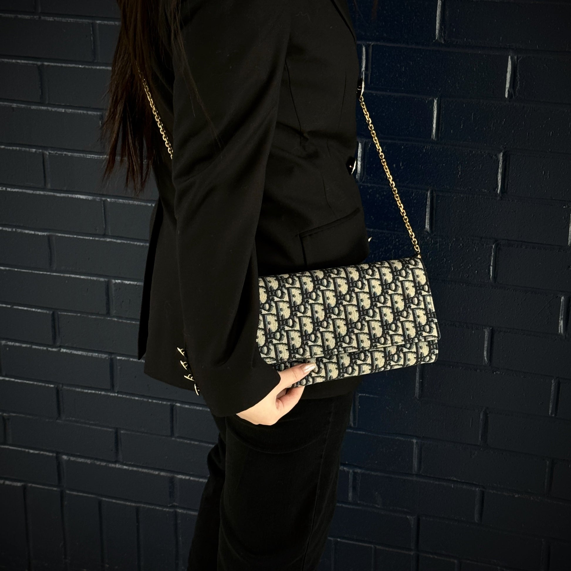 Dior Handbag Christian Montaigne Wallet on TWS Chain