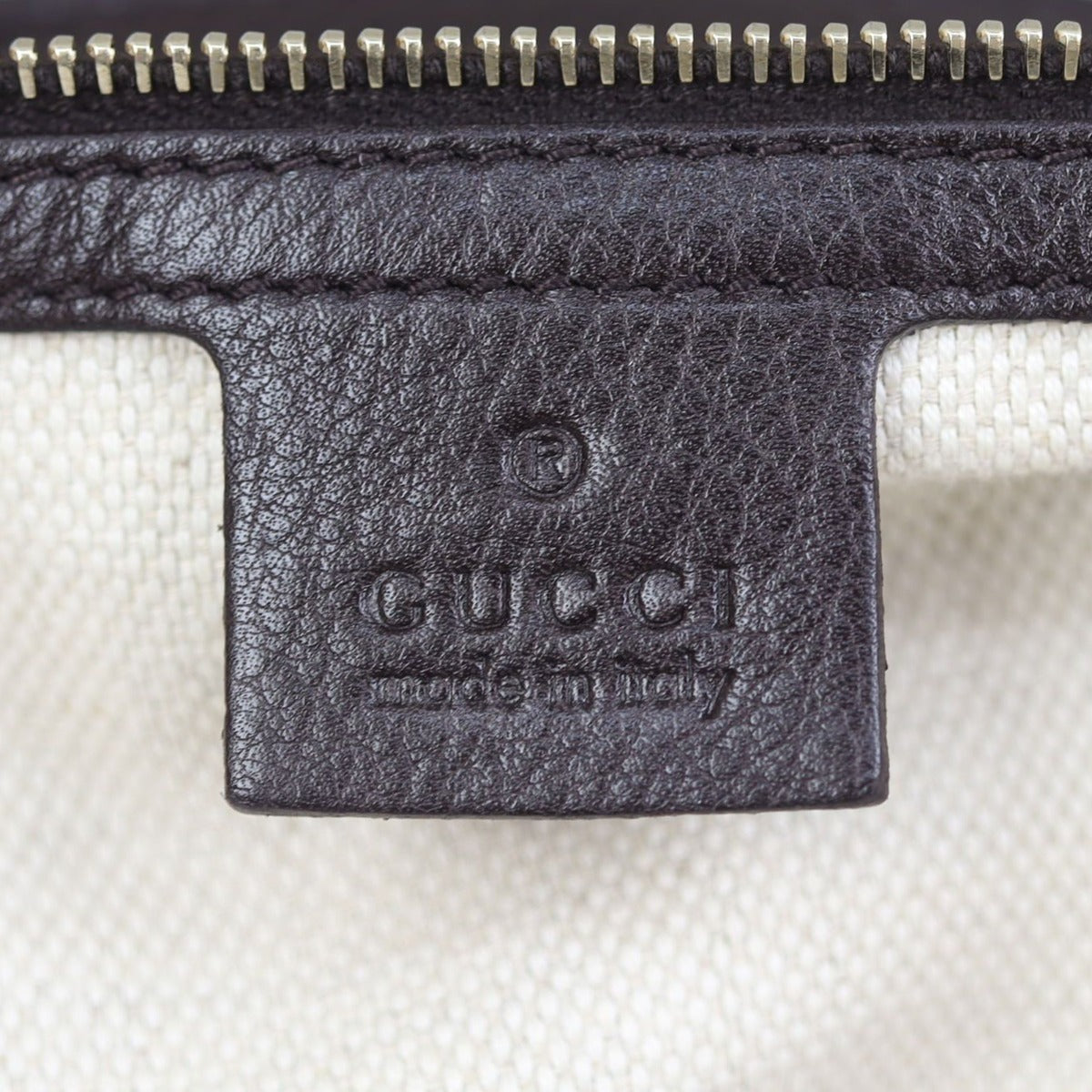 Gucci GG Canvas Dressage Hobo