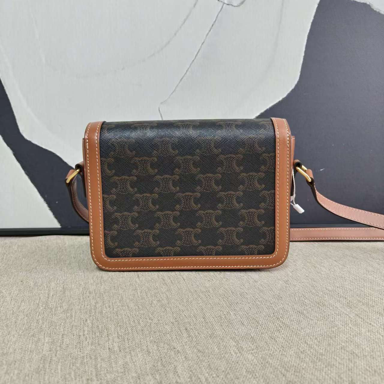 Luxury Triomphe Teen Bag In Shoulder Bag Canvas Brown