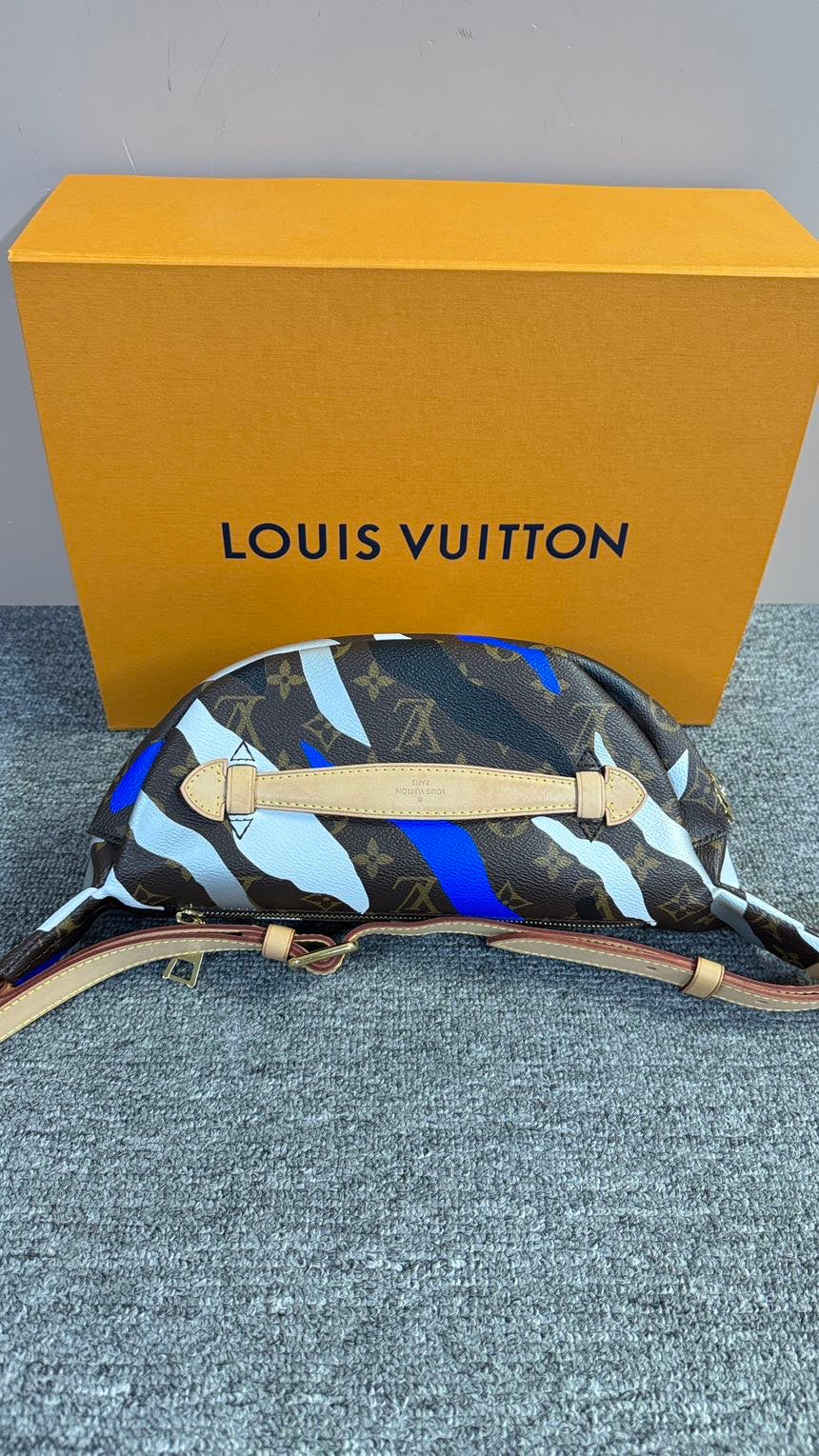 Louis Vuitton bumbag
