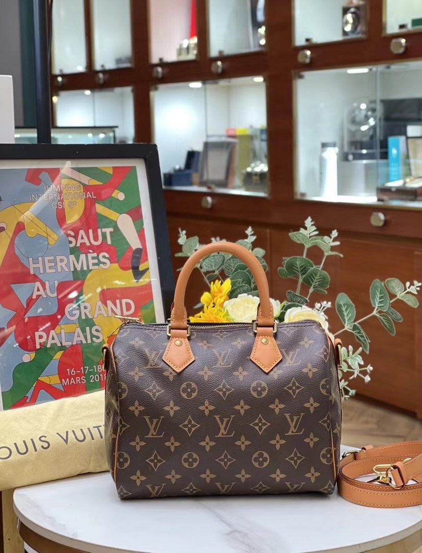 Louis Vuitton Speedy 25 Monogram 12349