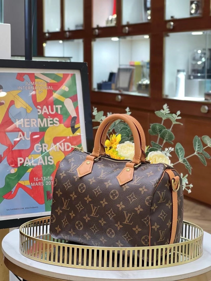 Louis Vuitton Speedy 25 Monogram 12349