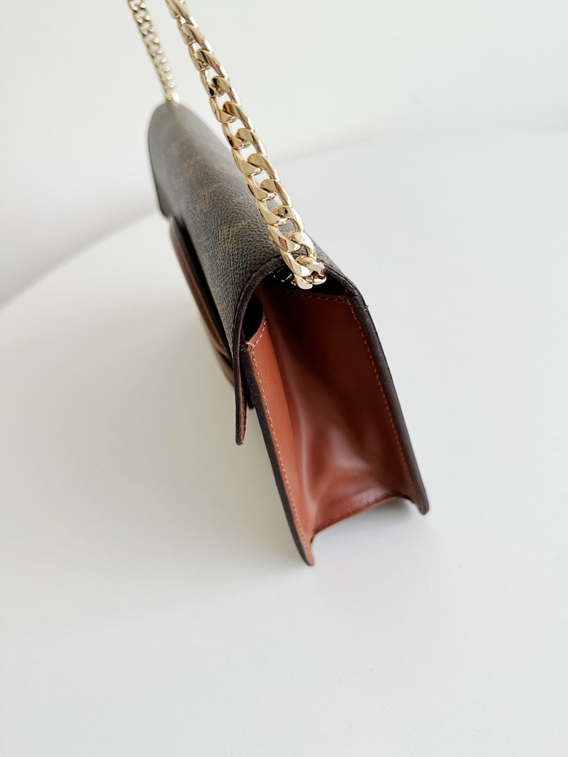   Louis Vuitton Clutch (Chain Not From Luxury Brands)