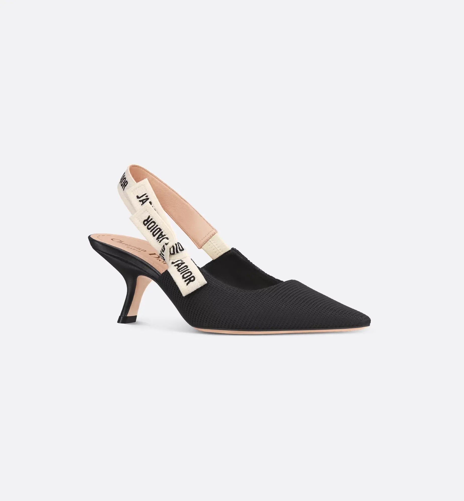 Dior Sling Bag J’A Slingback Pump Shoes