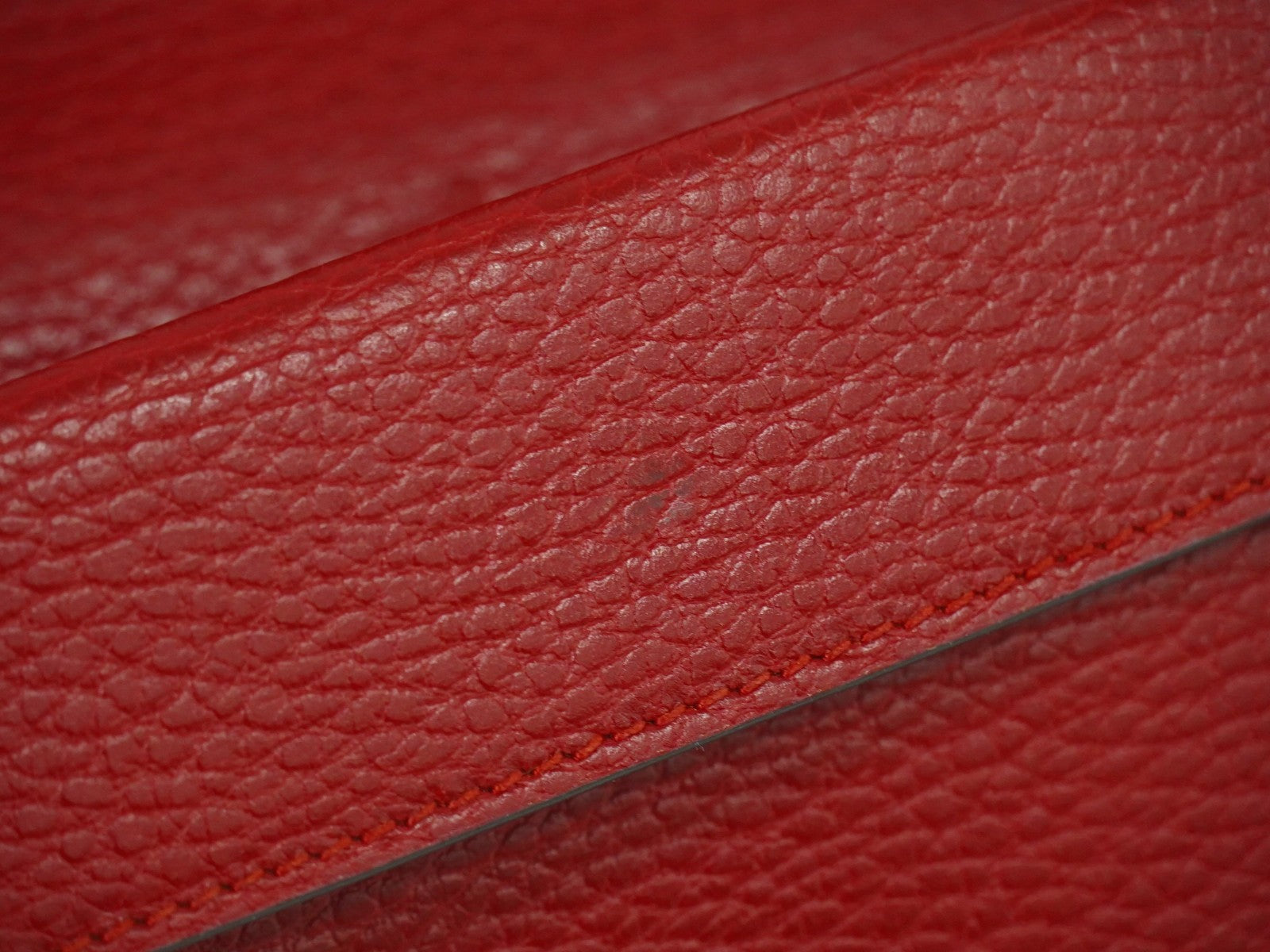 Gucci Dionysus Bag Leather Red Leather Crossbody Bag Bag