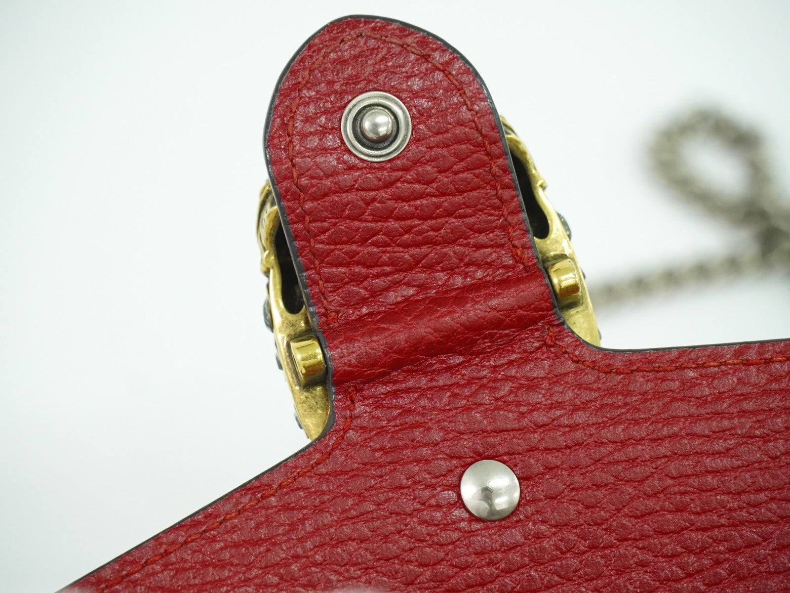 Gucci Dionysus Bag Leather Red Leather Crossbody Bag Bag