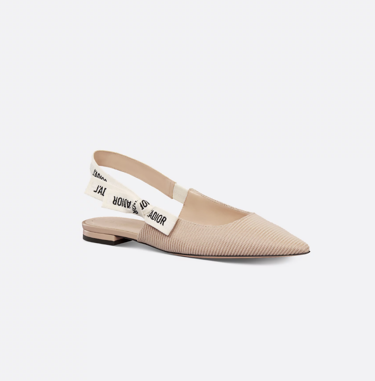 Dior Sling Bag J'A Slingback Flat Shoes