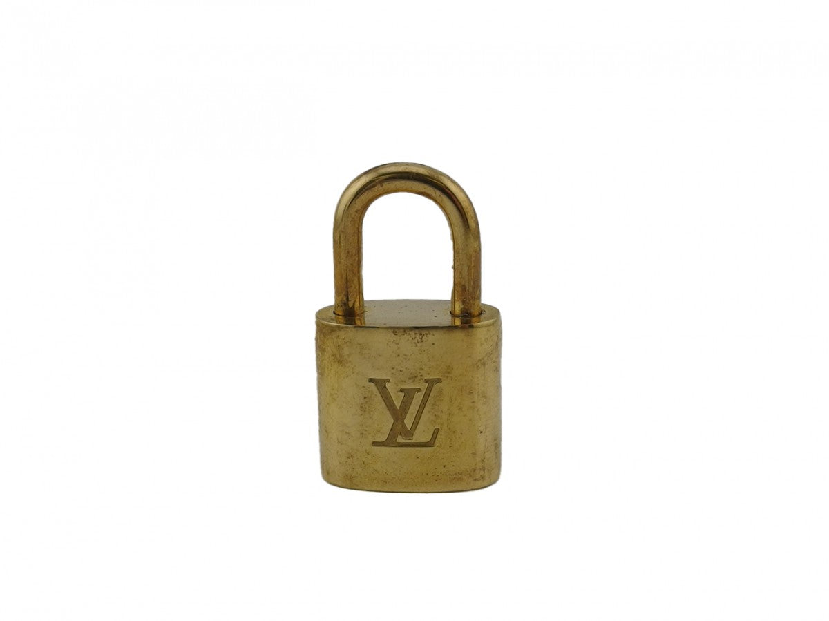 Louis Vuitton Other accessories R10000 Gold Handbag
