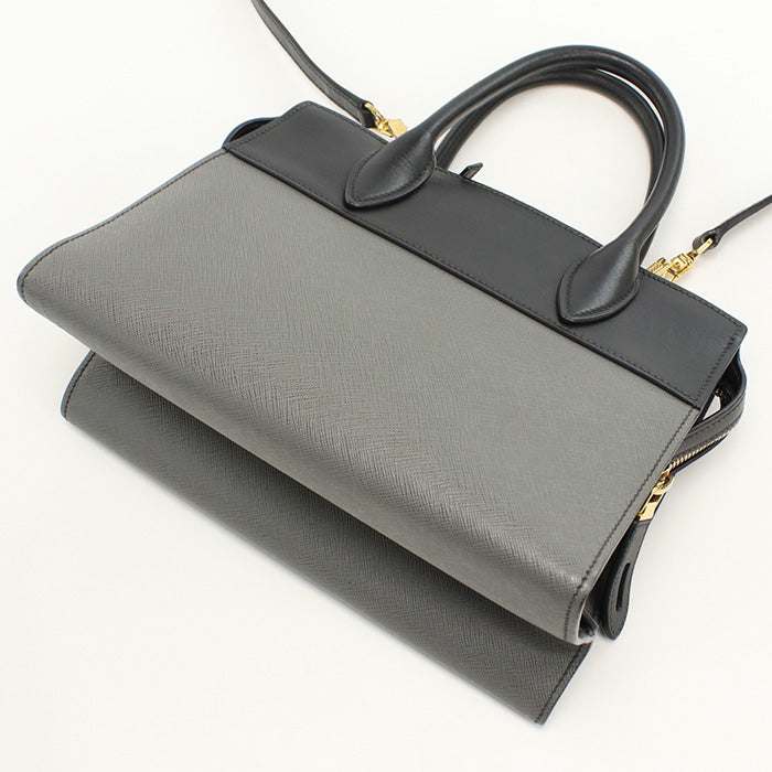 Esplanade Bicolor Waytote Bag Safiano Gray Women Leather